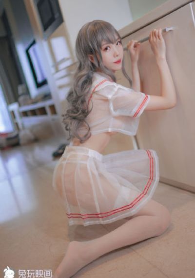 拉布拉多警长100集