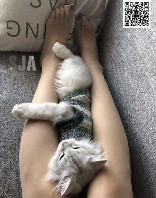 情事2019
