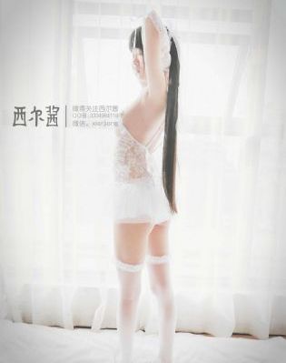 树先生免费观看全集