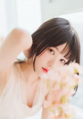 桃华月禅