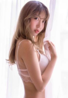 观鸟大年