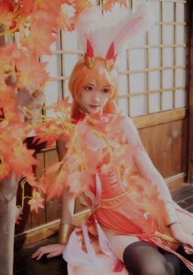 红猫蓝兔